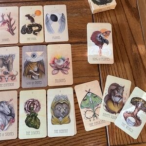 The Wooden Tarot - used item originally purchased from A.L. Swartz / Skullgarden